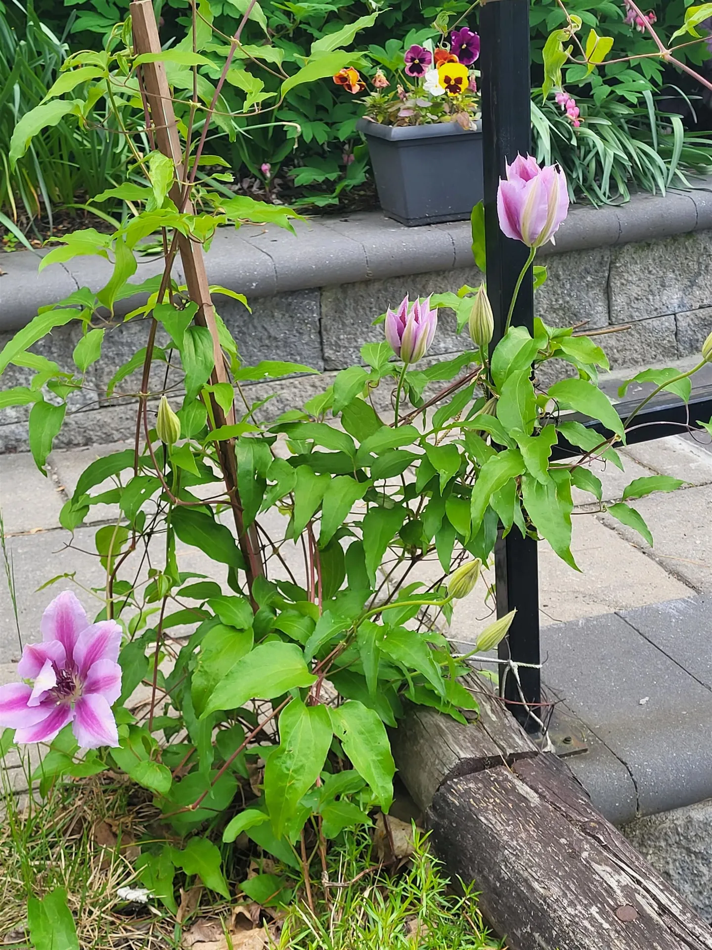 25 Marshall Avenue Hartford VT 05001