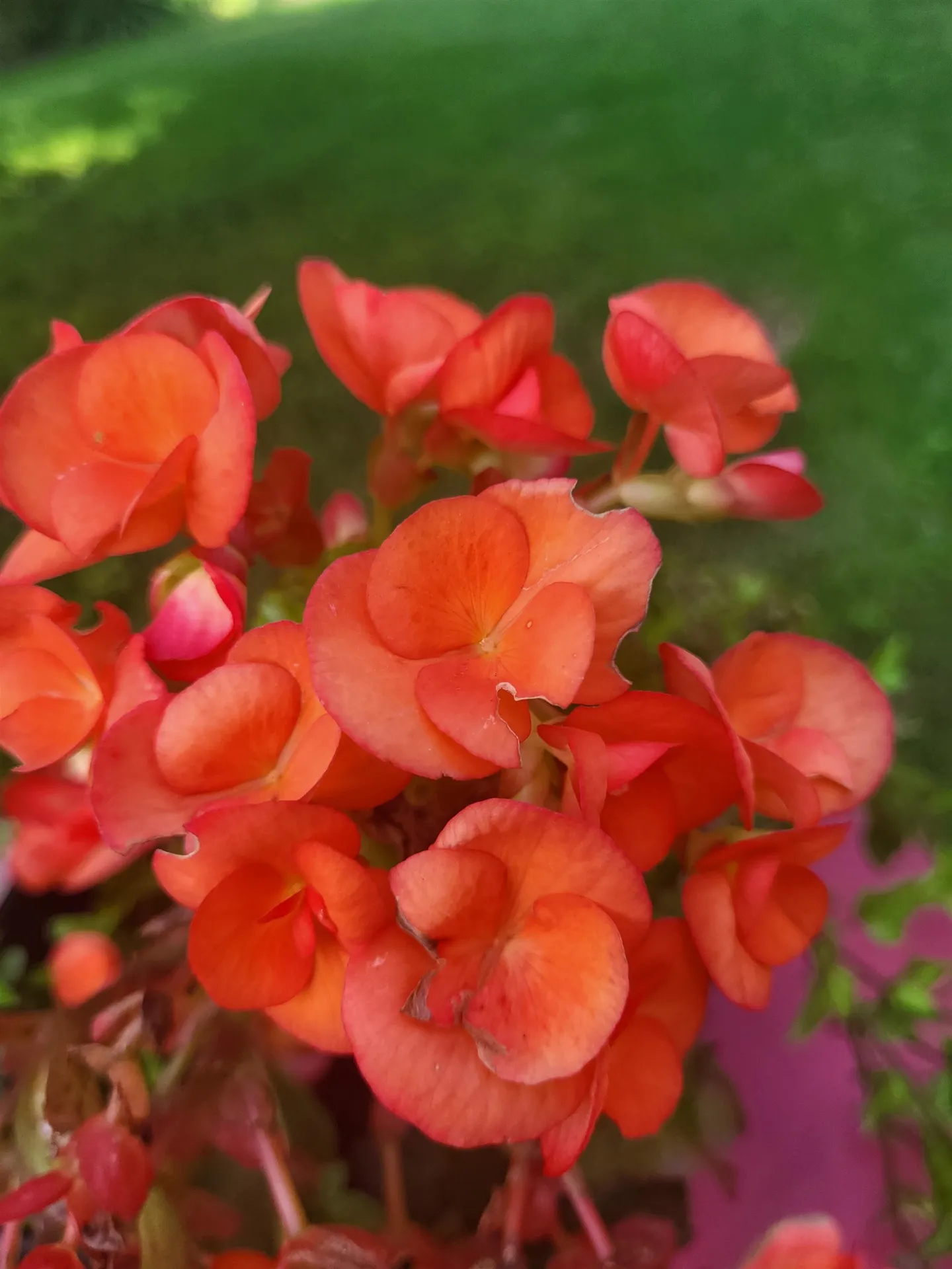 25 Marshall Avenue Hartford VT 05001