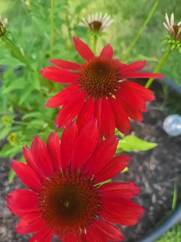 25 Marshall Avenue Hartford VT 05001