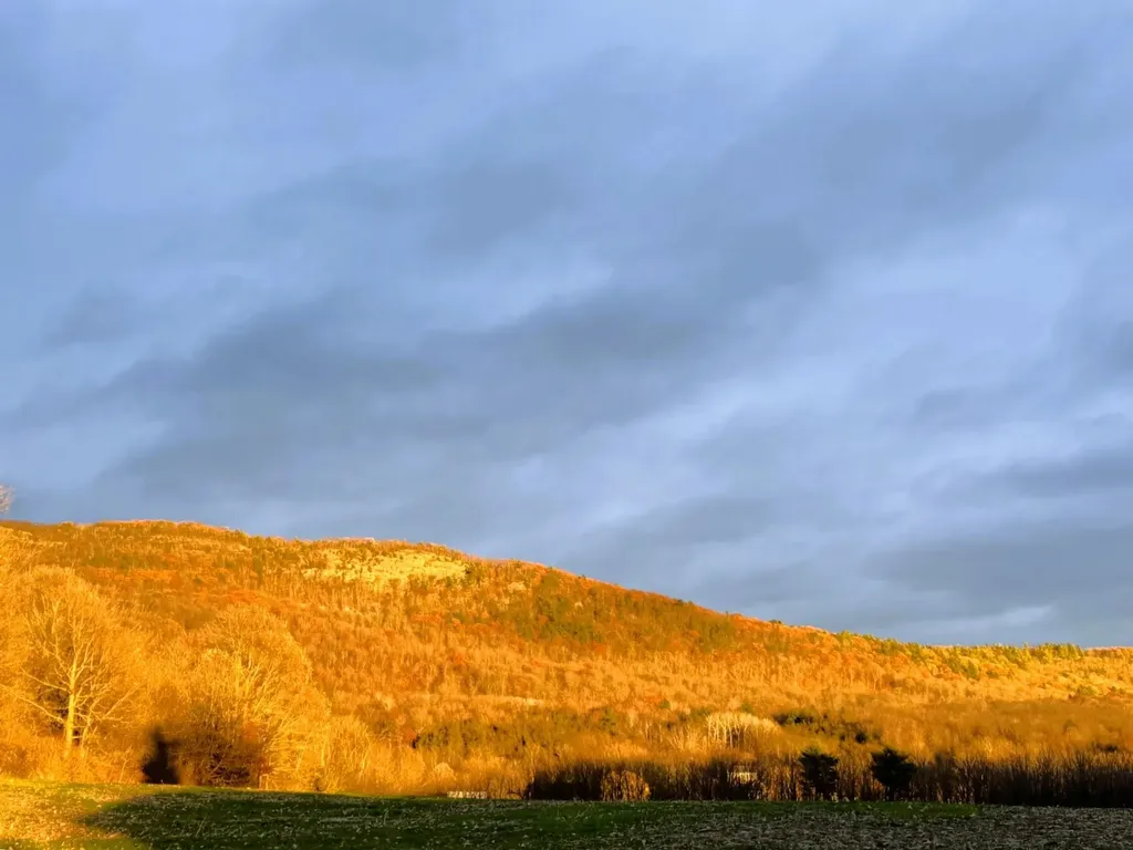 7323 Vt Route 22a Highway Addison VT 05491