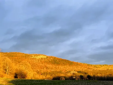 7323 Vt Route 22a Highway Addison VT 05491