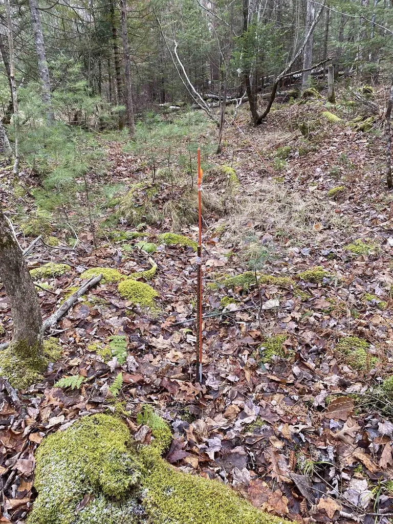 84 Vernon Avenue Haverhill NH 03765