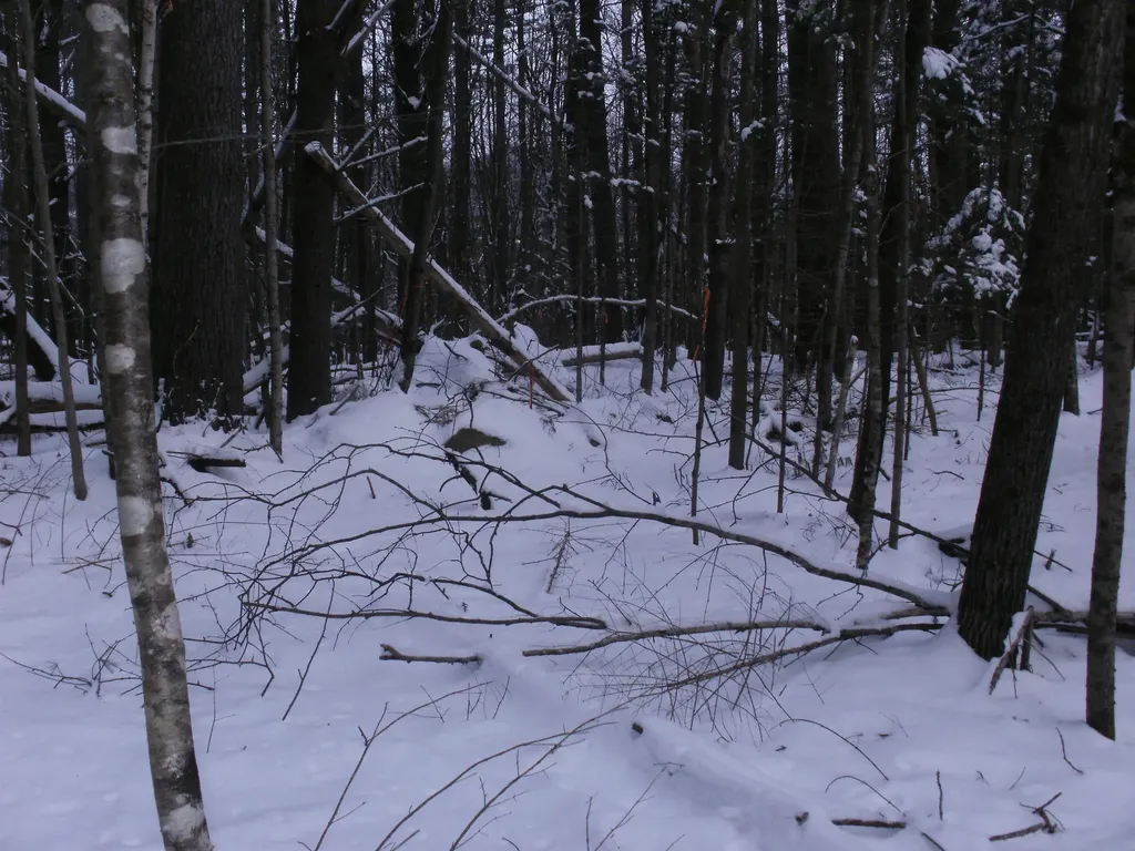 84 Vernon Avenue Haverhill NH 03765