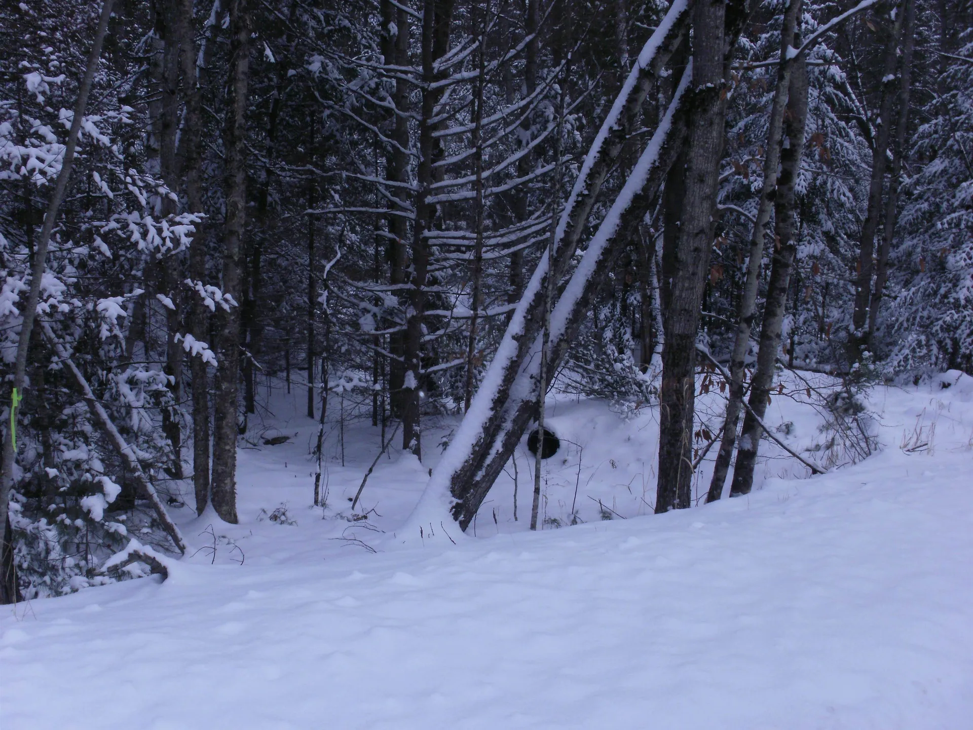 84 Vernon Avenue Haverhill NH 03765