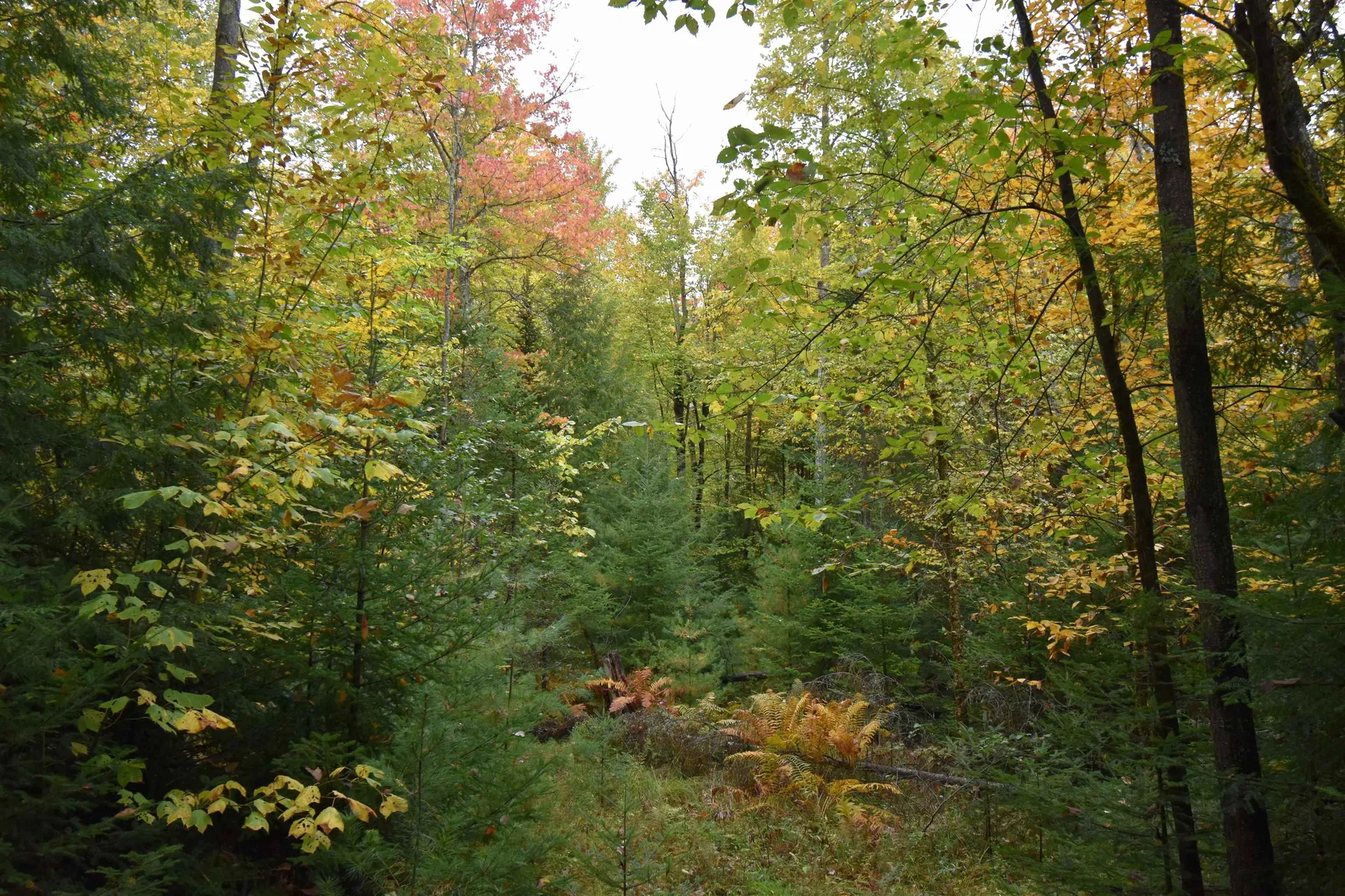 84 Vernon Avenue Haverhill NH 03765