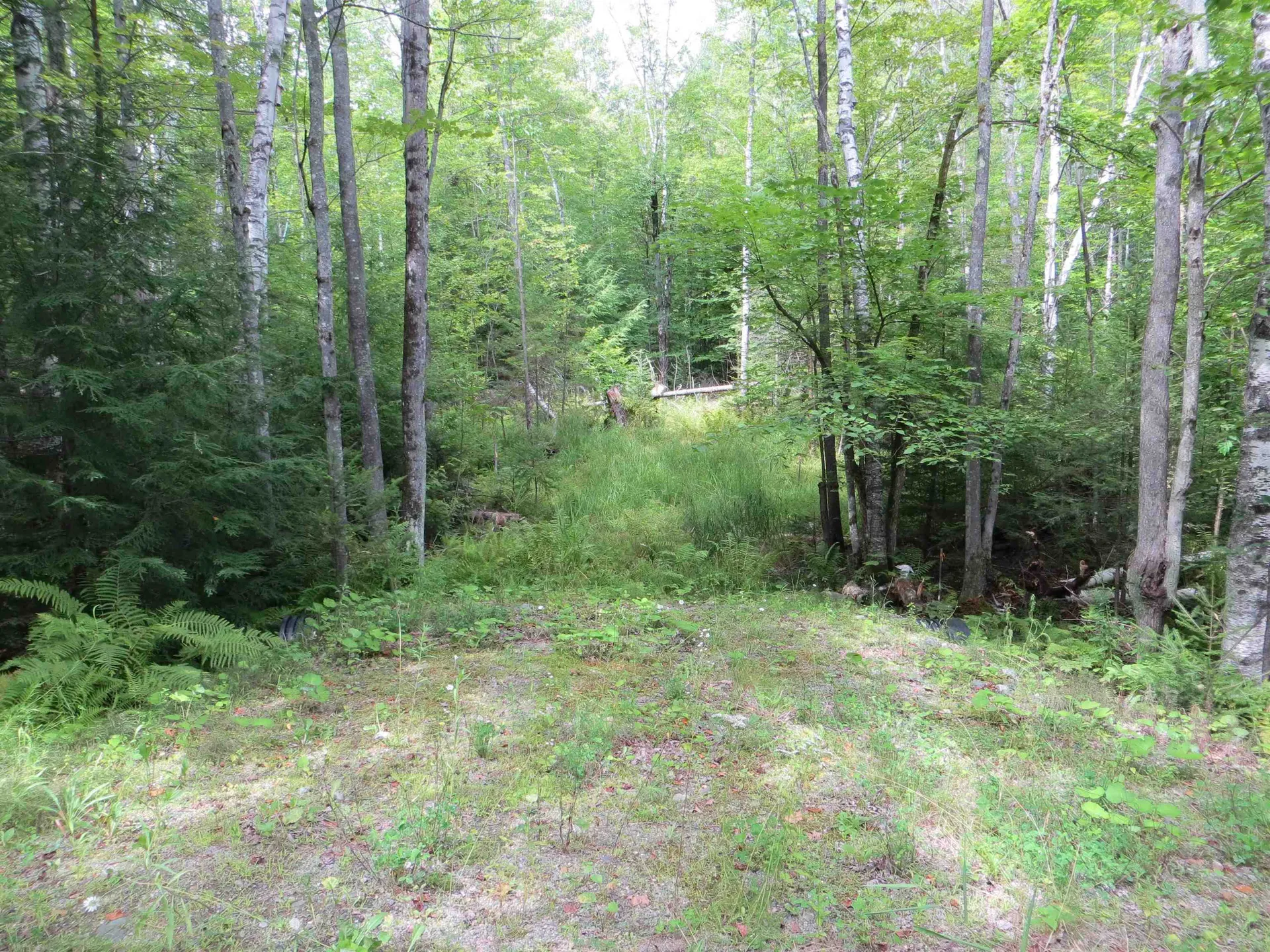 84 Vernon Avenue Haverhill NH 03765