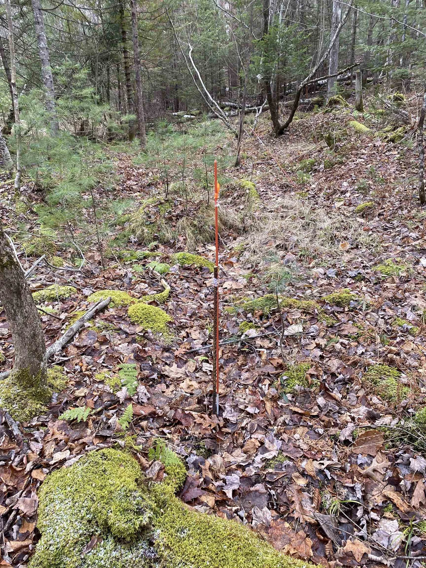 84 Vernon Avenue Haverhill NH 03765