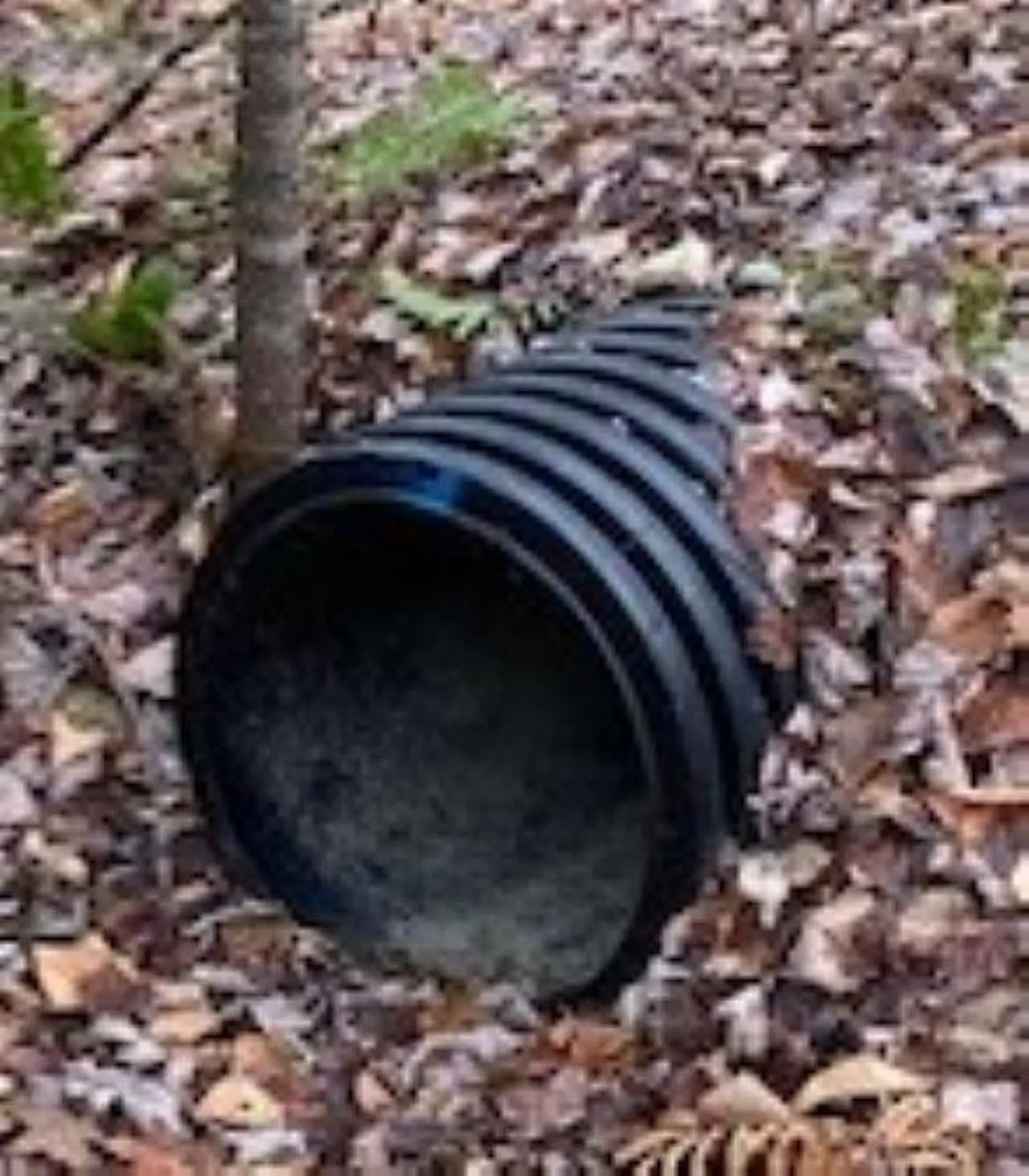 84 Vernon Avenue Haverhill NH 03765