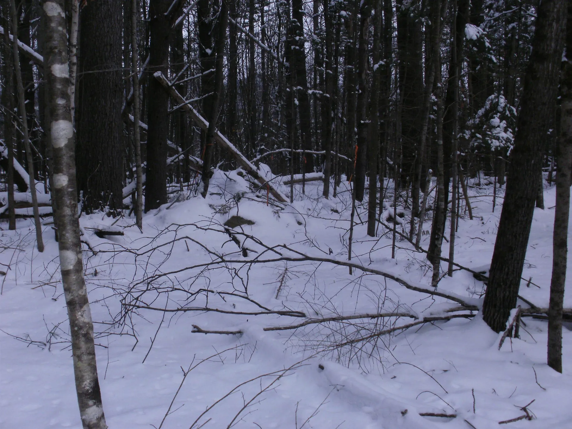 84 Vernon Avenue Haverhill NH 03765