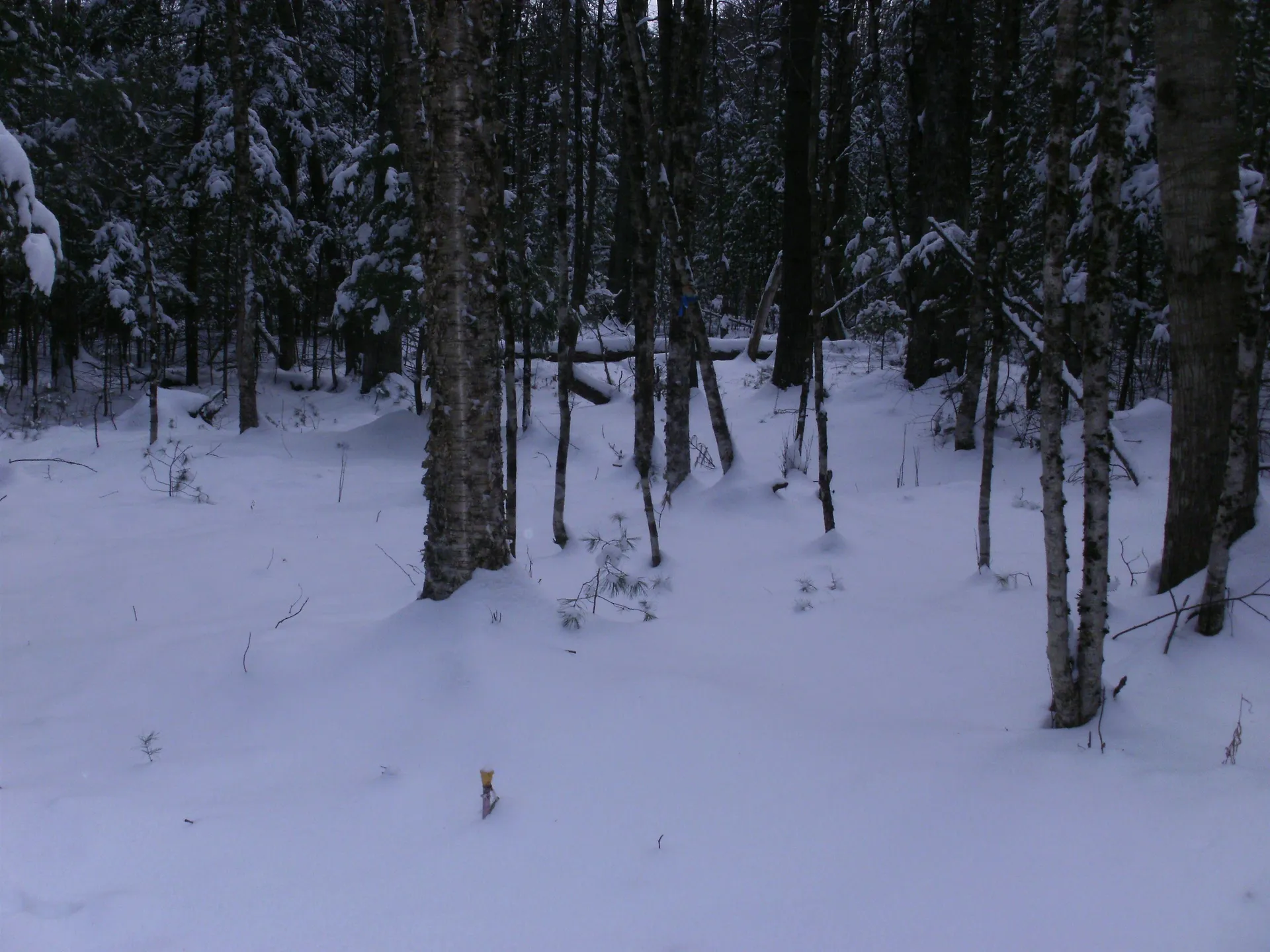 84 Vernon Avenue Haverhill NH 03765