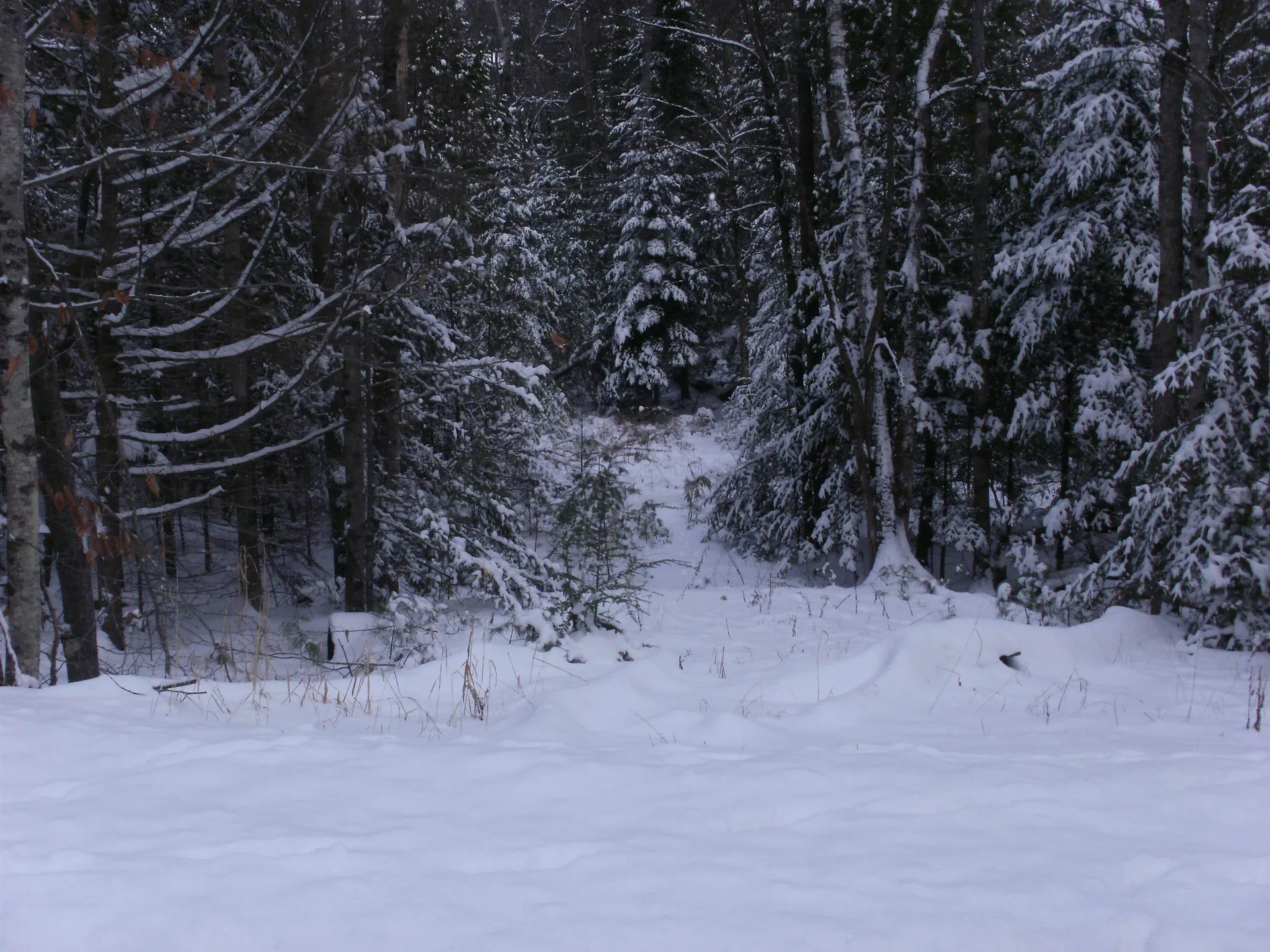 84 Vernon Avenue Haverhill NH 03765