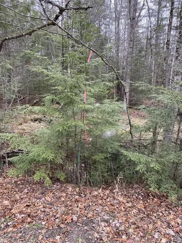 84 Vernon Avenue Haverhill NH 03765