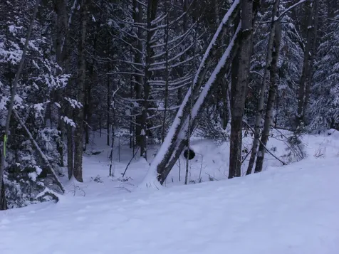 84 Vernon Avenue Haverhill NH 03765