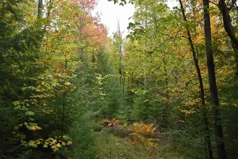 84 Vernon Avenue Haverhill NH 03765