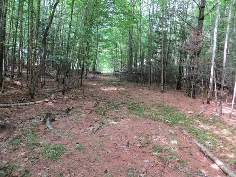 84 Vernon Avenue Haverhill NH 03765