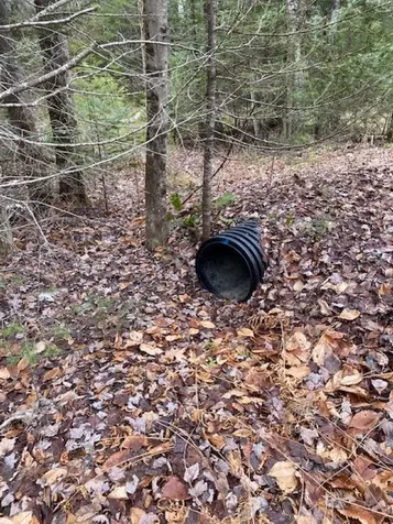 84 Vernon Avenue Haverhill NH 03765