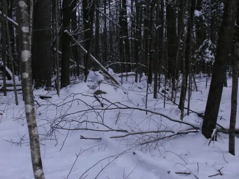 84 Vernon Avenue Haverhill NH 03765