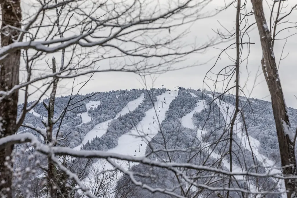 8 Silver Birch Road Winhall VT 05340