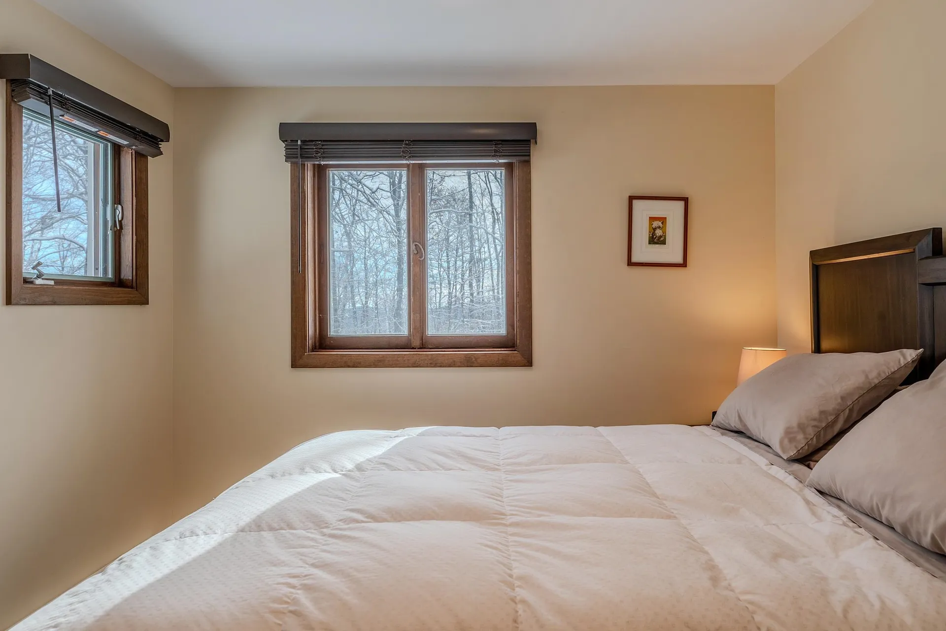 8 Silver Birch Road Winhall VT 05340