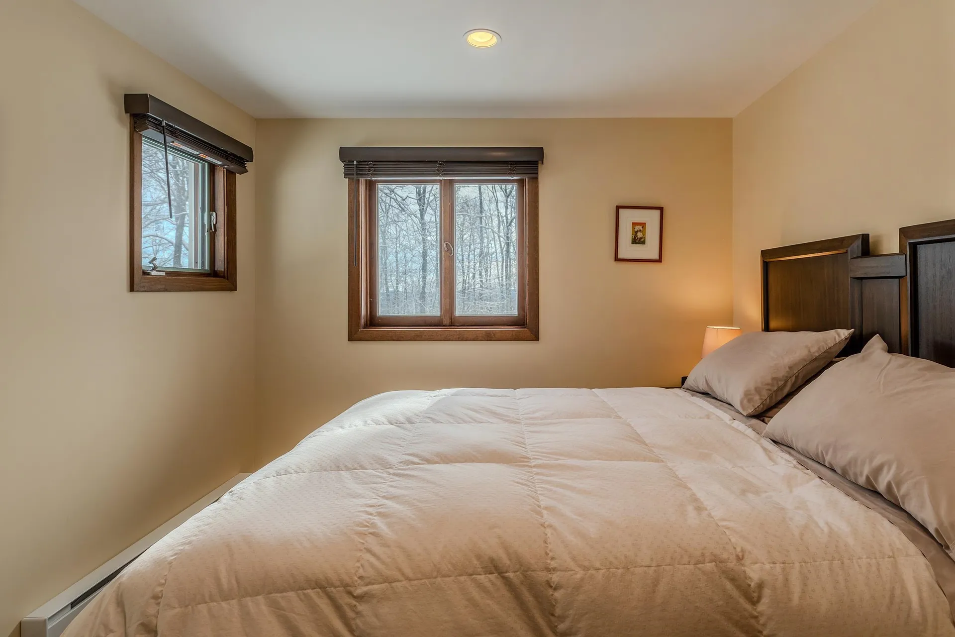 8 Silver Birch Road Winhall VT 05340