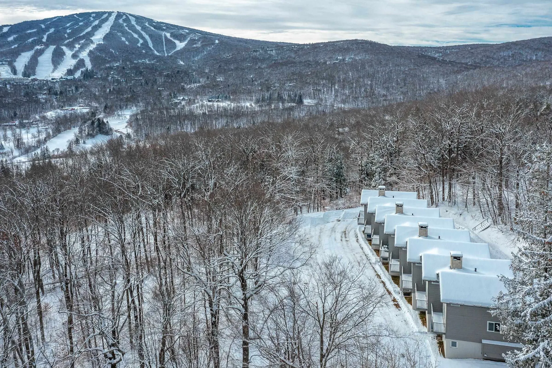 8 Silver Birch Road Winhall VT 05340