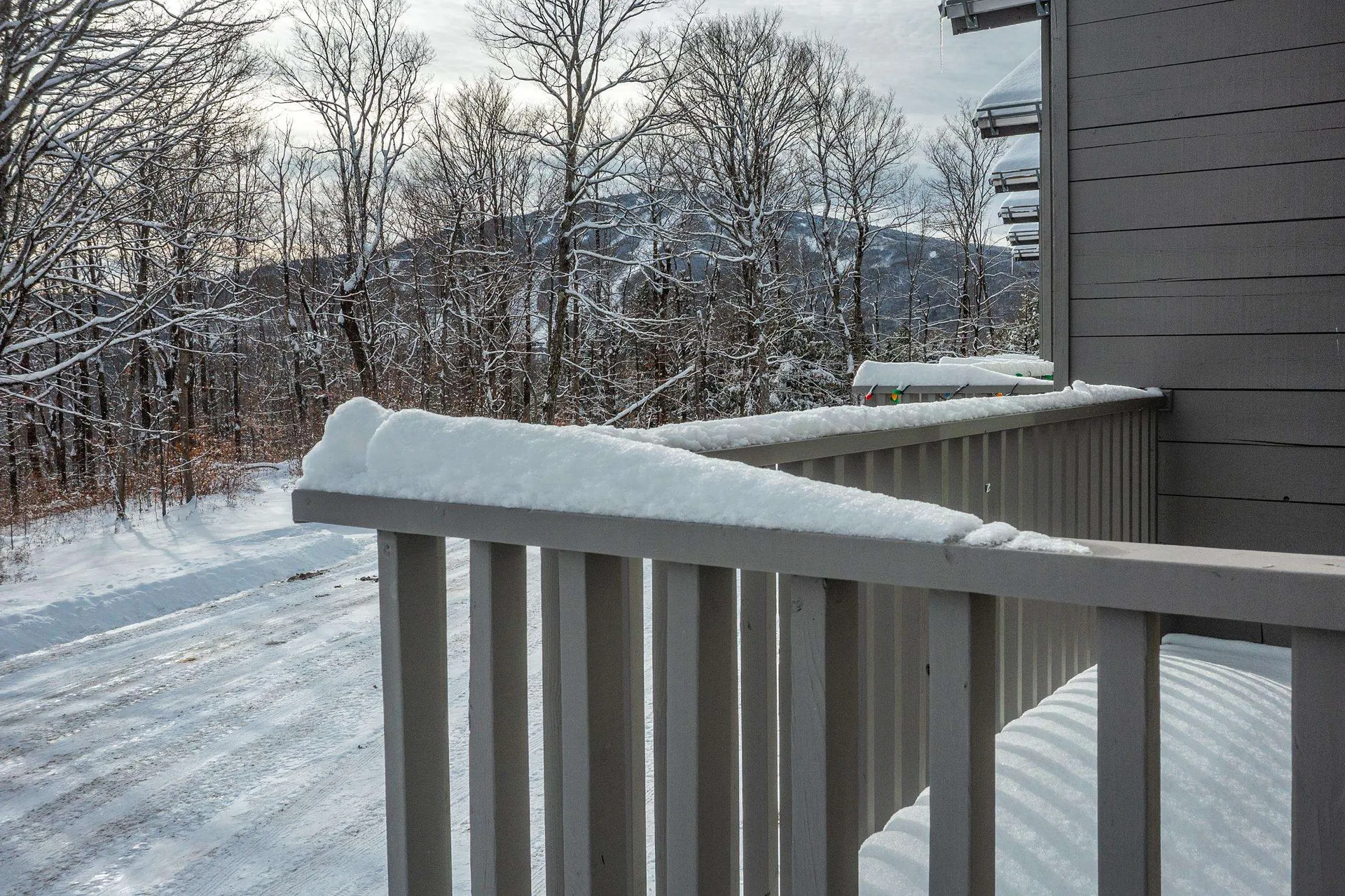 8 Silver Birch Road Winhall VT 05340