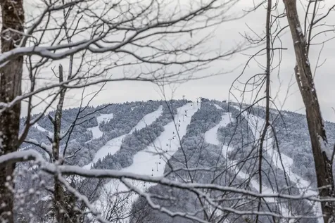 8 Silver Birch Road Winhall VT 05340