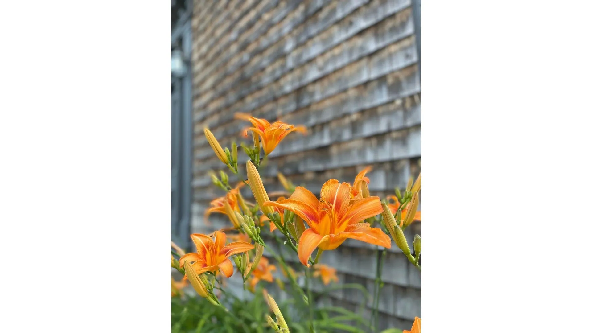 382 South Main Street Alburgh VT 05440