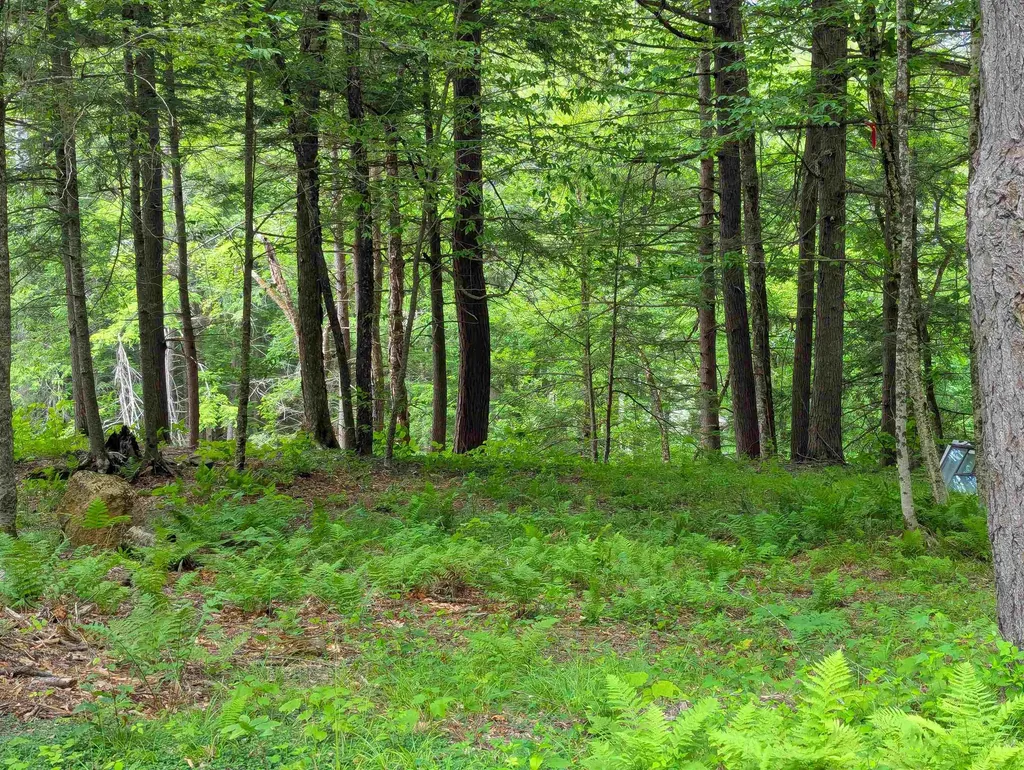 32 Hunter Brook Road Newfane VT 05351