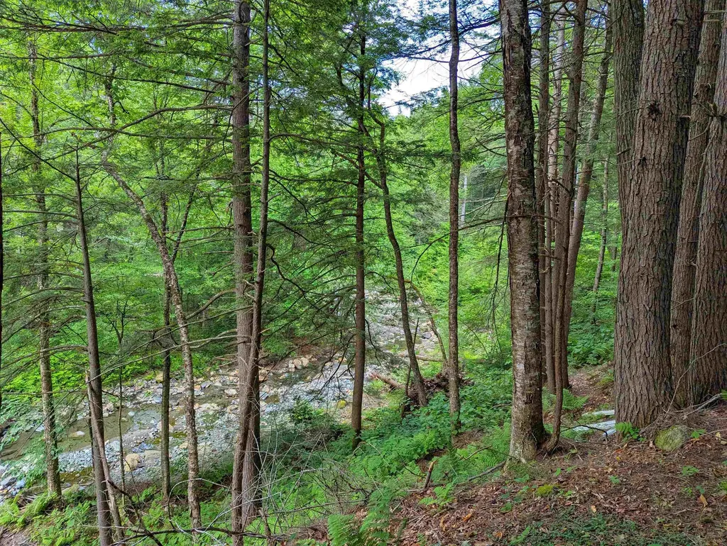 32 Hunter Brook Road Newfane VT 05351