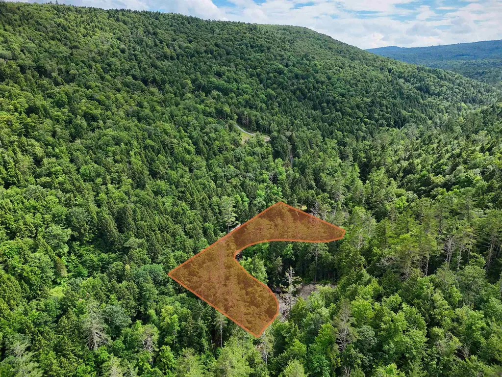 32 Hunter Brook Road Newfane VT 05351