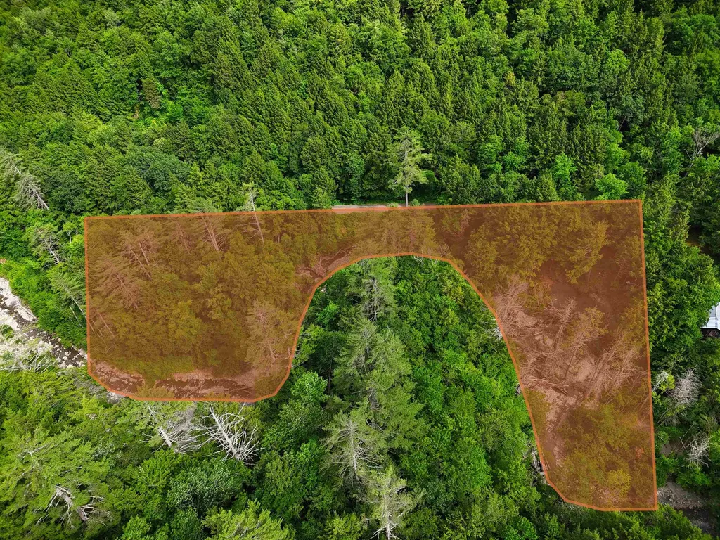 32 Hunter Brook Road Newfane VT 05351