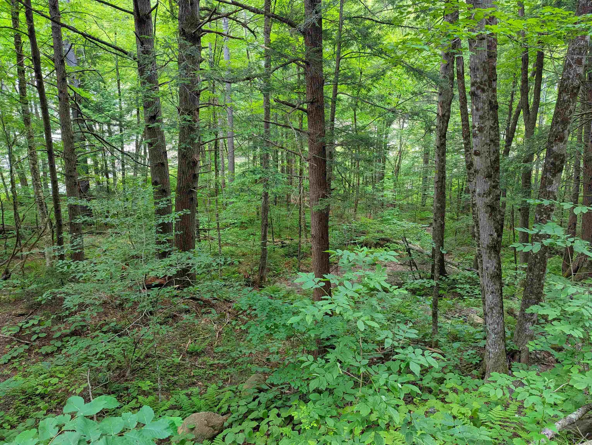 32 Hunter Brook Road Newfane VT 05351