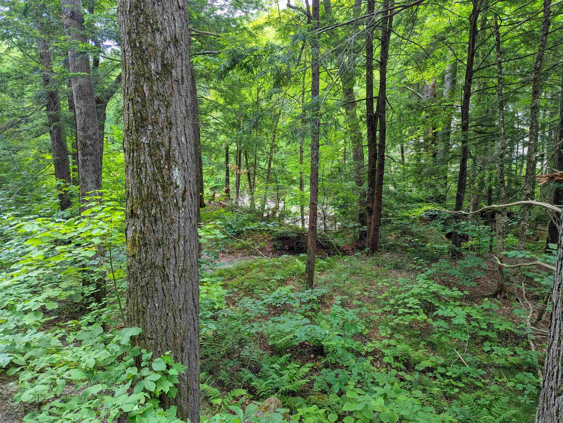 32 Hunter Brook Road Newfane VT 05351