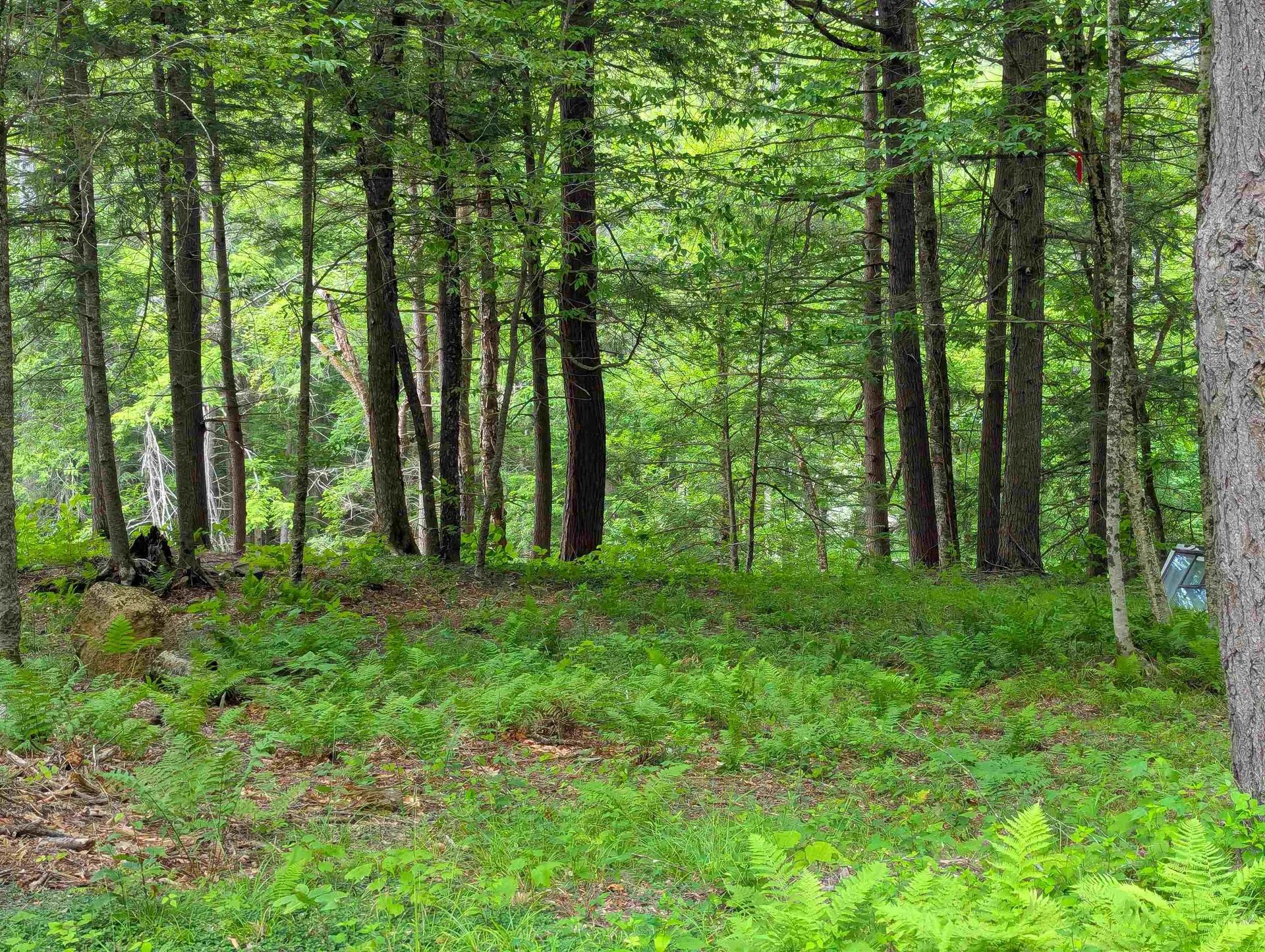 32 Hunter Brook Road Newfane VT 05351