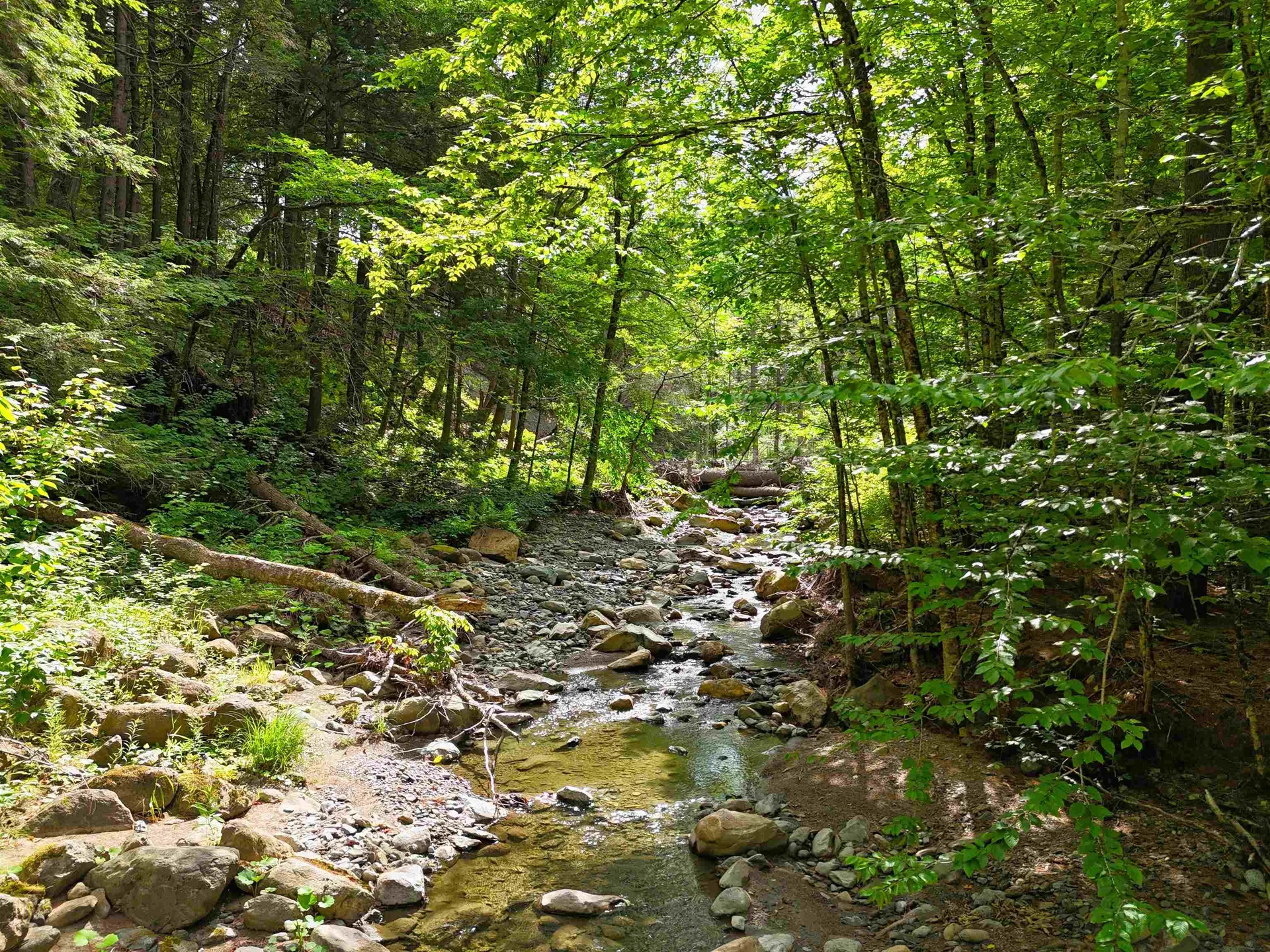 32 Hunter Brook Road Newfane VT 05351