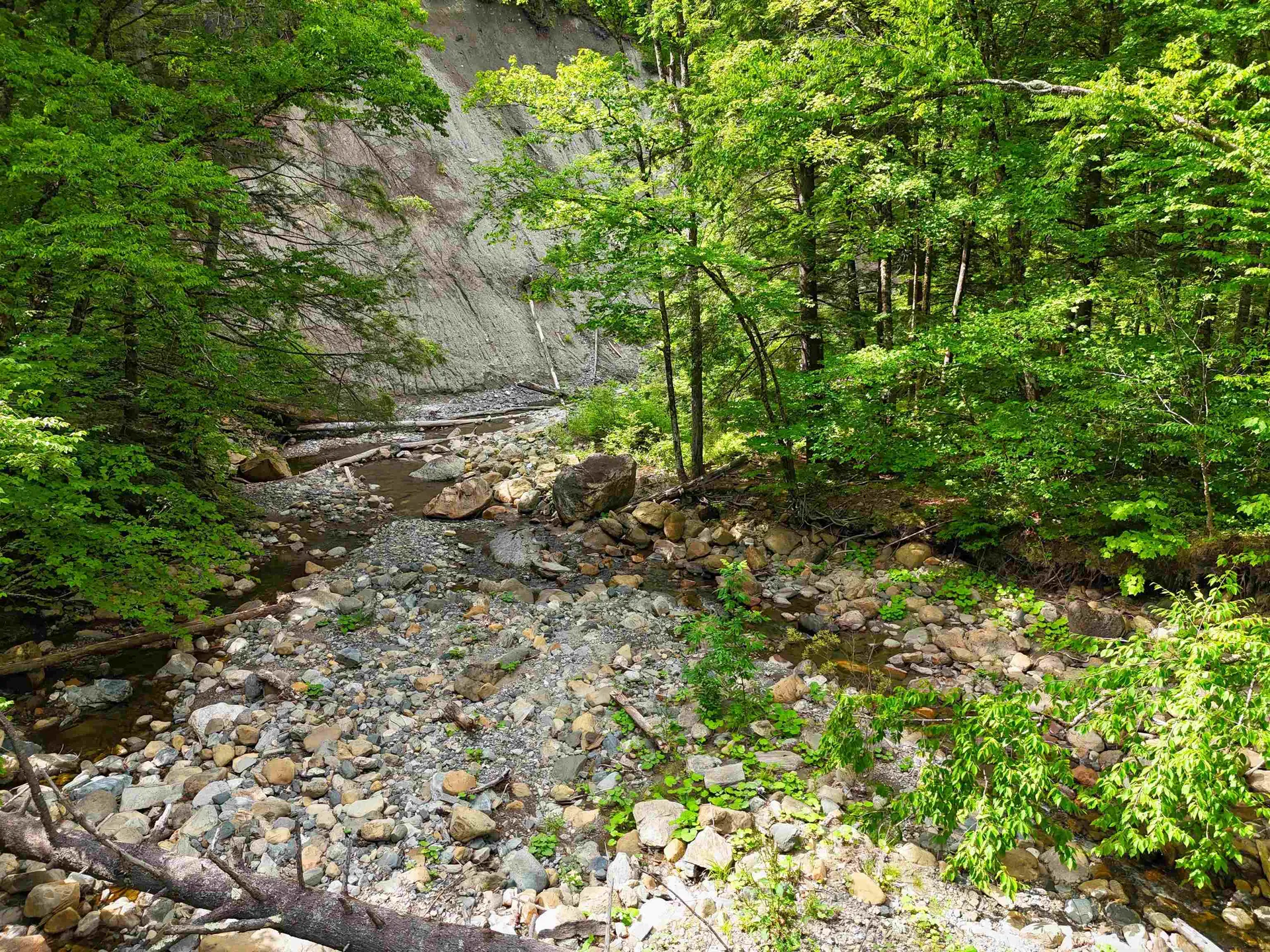 32 Hunter Brook Road Newfane VT 05351