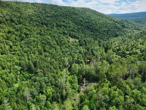 0 Hunter Brook Road Newfane VT 05351