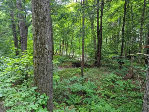 0 Hunter Brook Road Newfane VT 05351