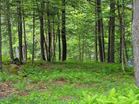 0 Hunter Brook Road Newfane VT 05351