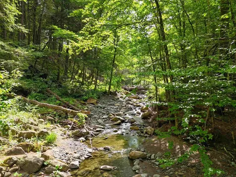 0 Hunter Brook Road Newfane VT 05351