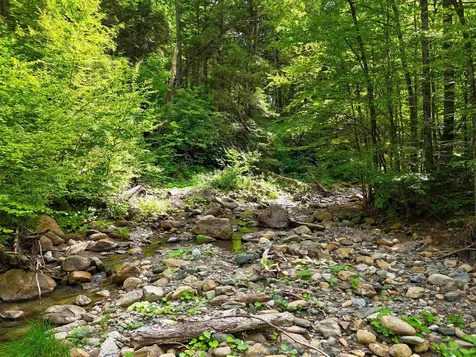 0 Hunter Brook Road Newfane VT 05351