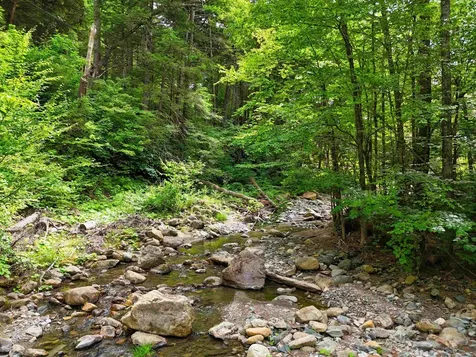 0 Hunter Brook Road Newfane VT 05351