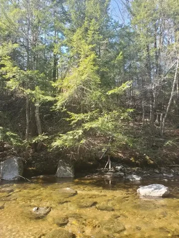 609 South Main Street Newport NH 03773