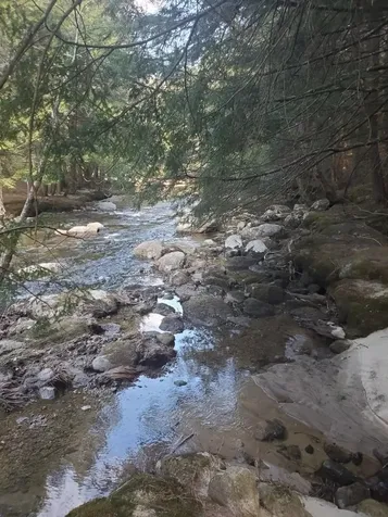 609 South Main Street Newport NH 03773