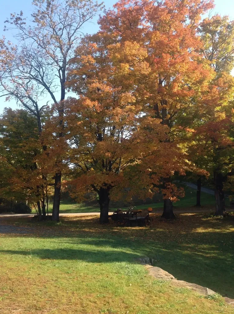 2155 Oneida Road Danville VT 05828