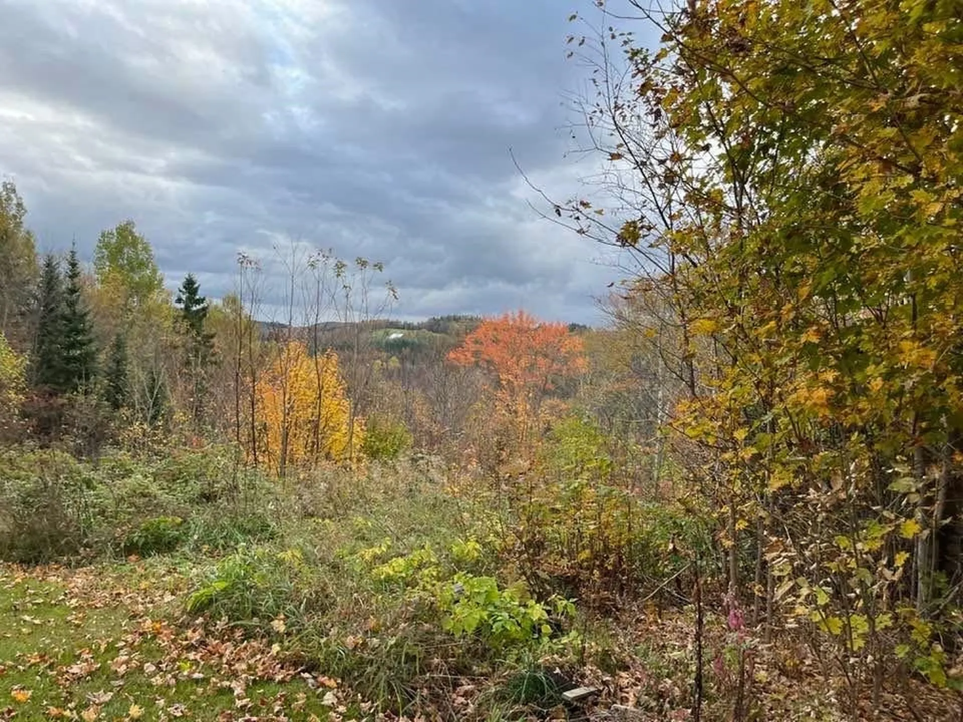 2155 Oneida Road Danville VT 05828