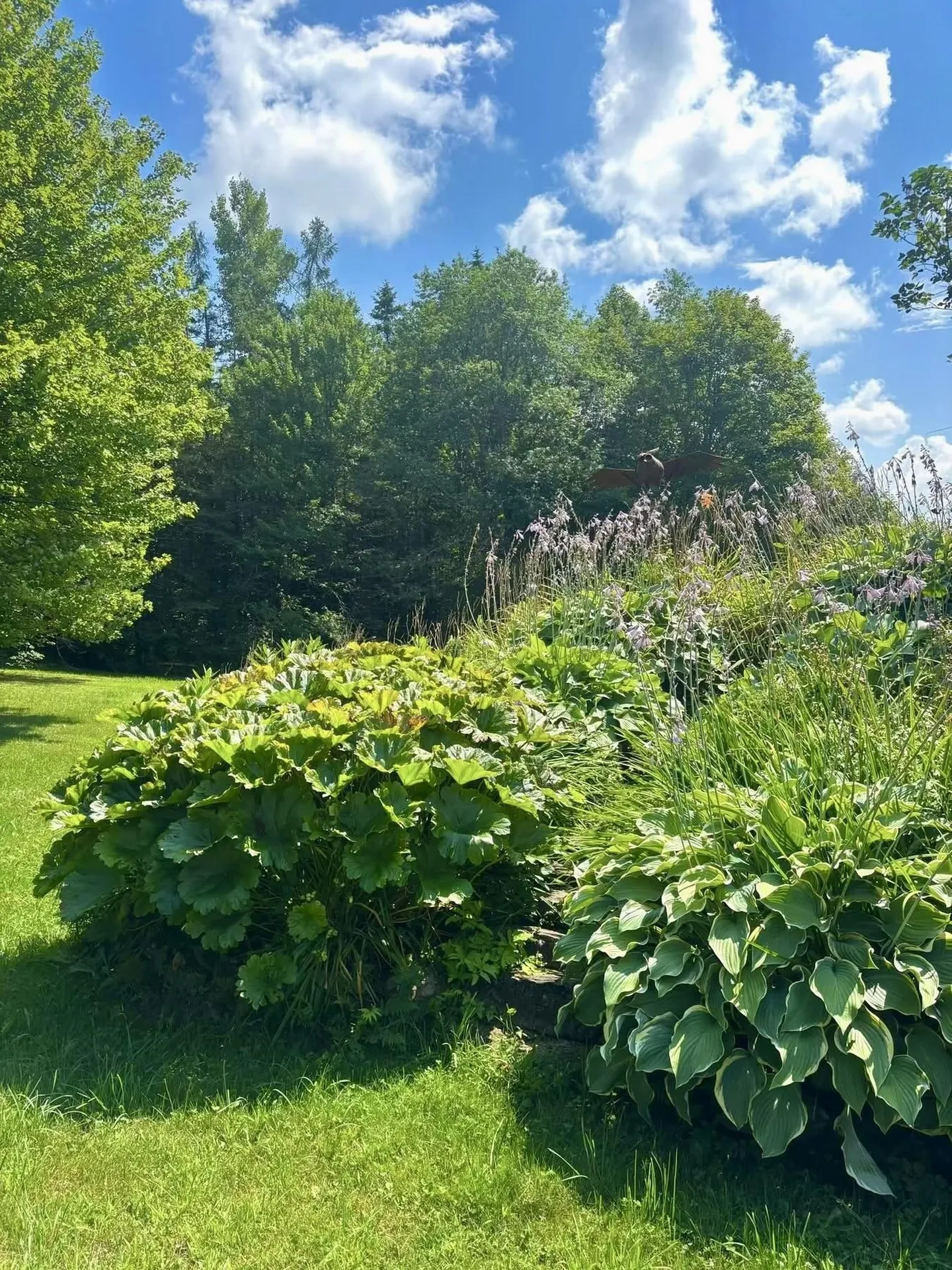 2155 Oneida Road Danville VT 05828