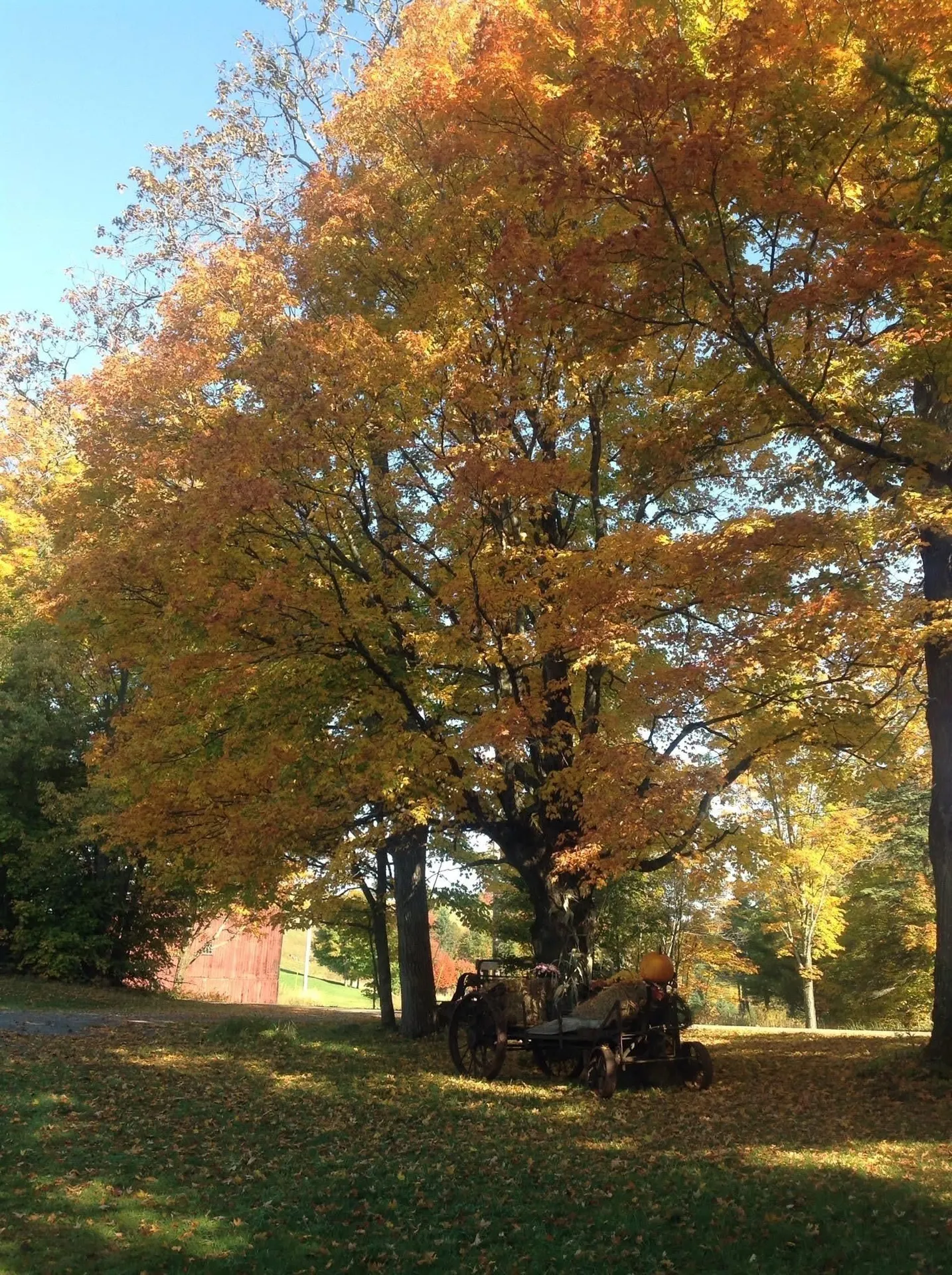 2155 Oneida Road Danville VT 05828