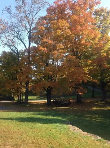 2155 Oneida Road Danville VT 05828